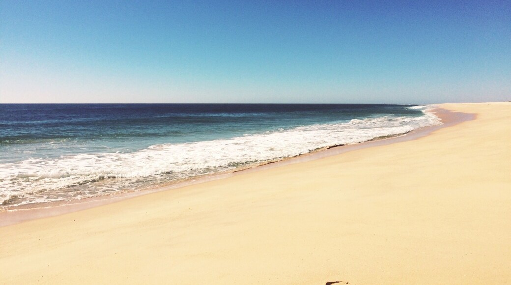 Take the ferry from Faro to this beautiful island!! Bring your own food and wine.. The restaurant is expensive. Amazing view though. Loved it.
