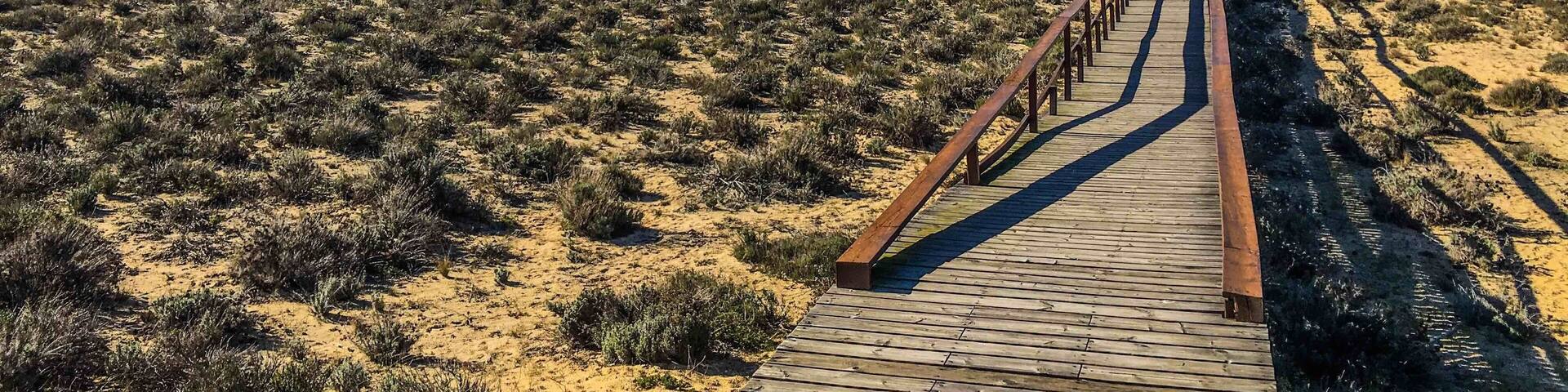 A wooden boardwalk leading to a modern building with large windows and solar panels, set against a desert landscape with sparse vegetation.