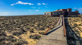 Nice please for visit