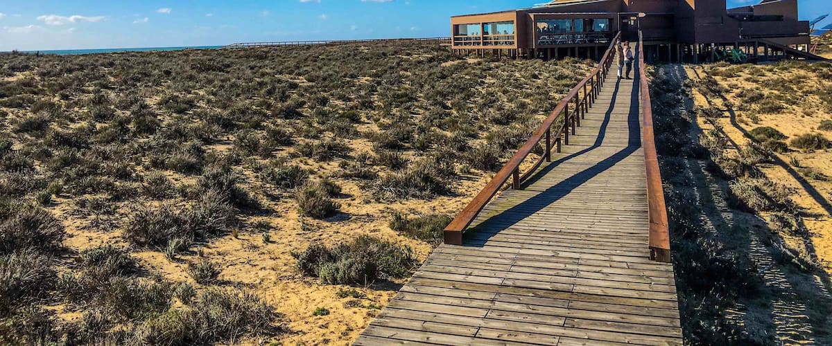 A wooden boardwalk leading to a modern building with large windows and solar panels, set against a desert landscape with sparse vegetation.