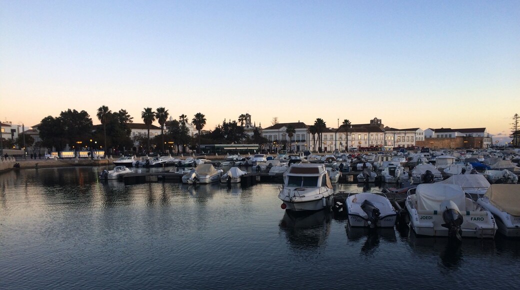 Walk around the marina in Faro at sunset.. You won't be disappointed #blue