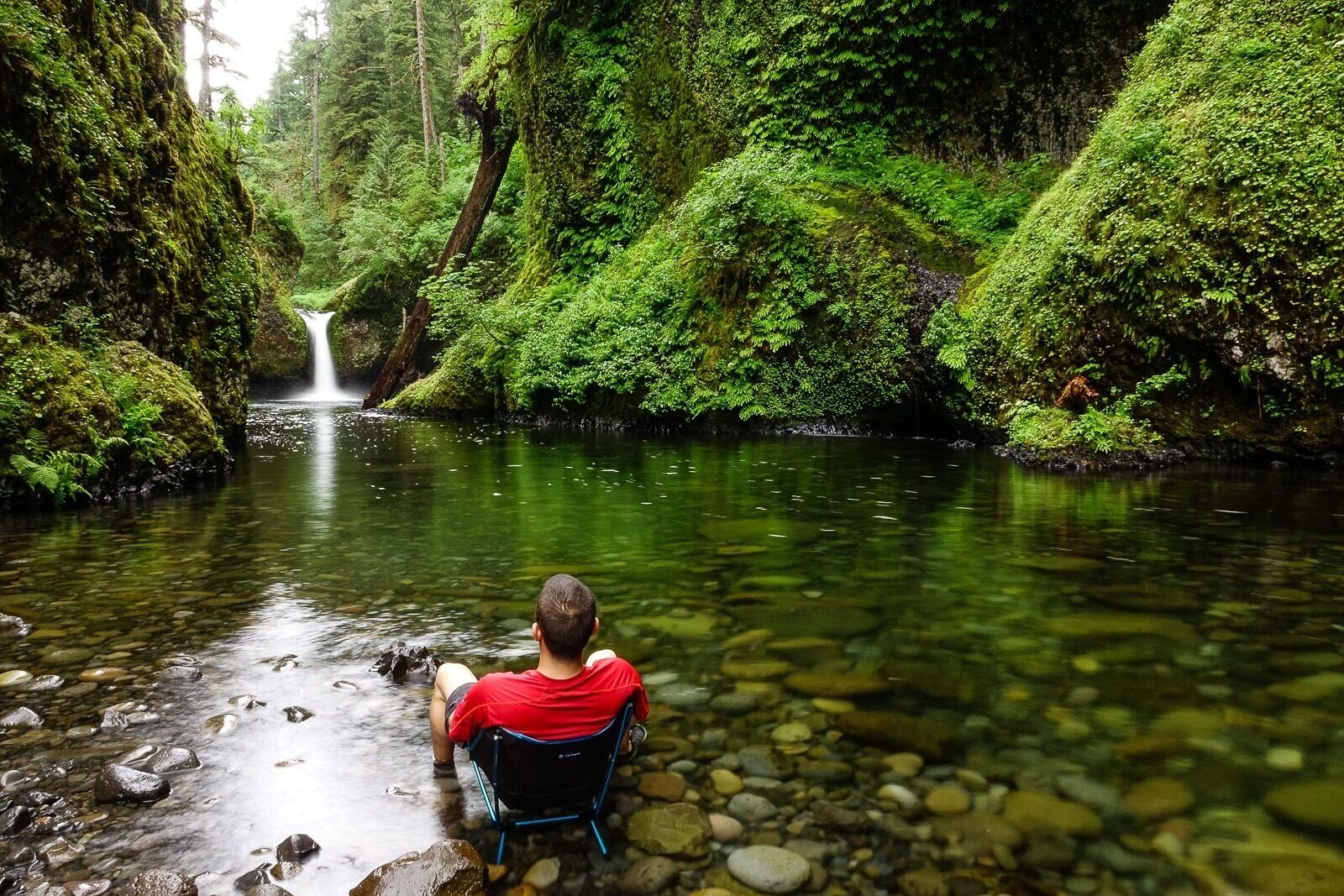 Un hombre sentado junto a un arroyo cristalino rodeado de abundante vegetación y una cascada.
