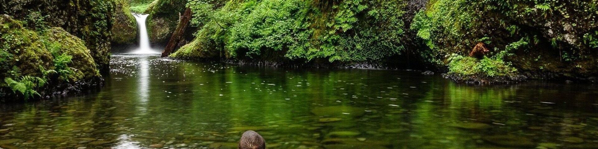 Un hombre sentado junto a un arroyo cristalino rodeado de abundante vegetación y una cascada.