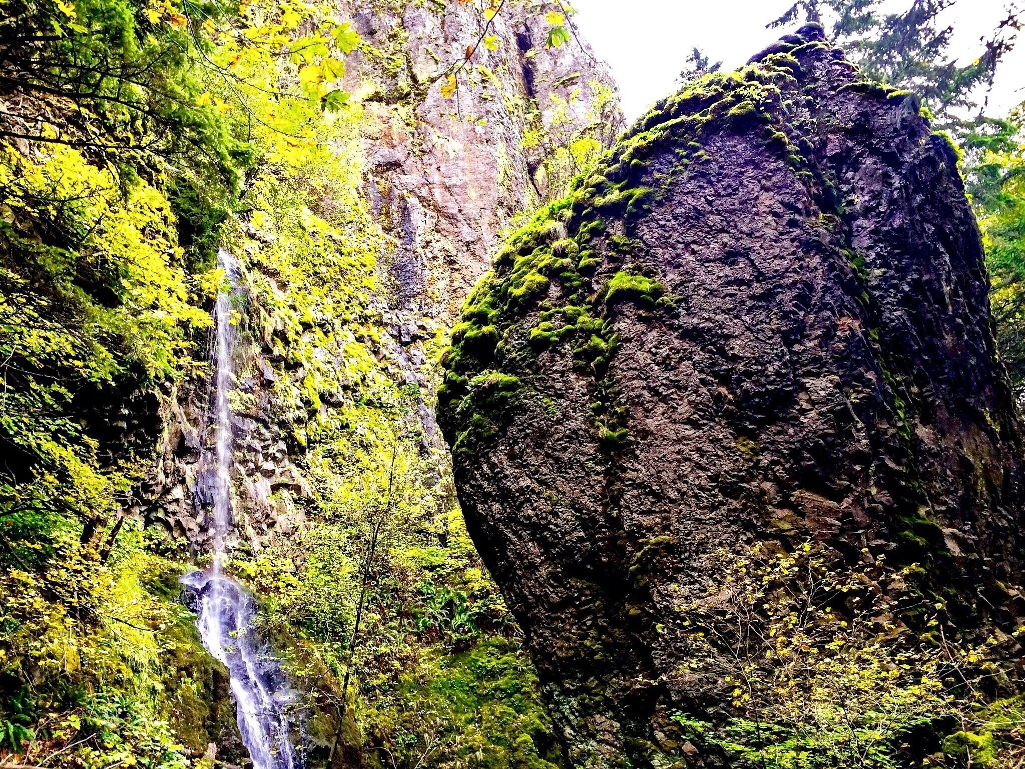 Comté de Hood River