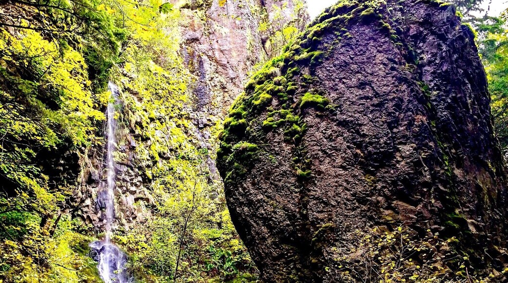 Comté de Hood River