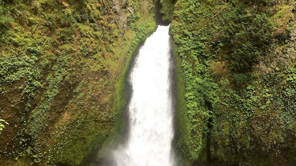 A waterfall cascading down moss-covered cliffs.