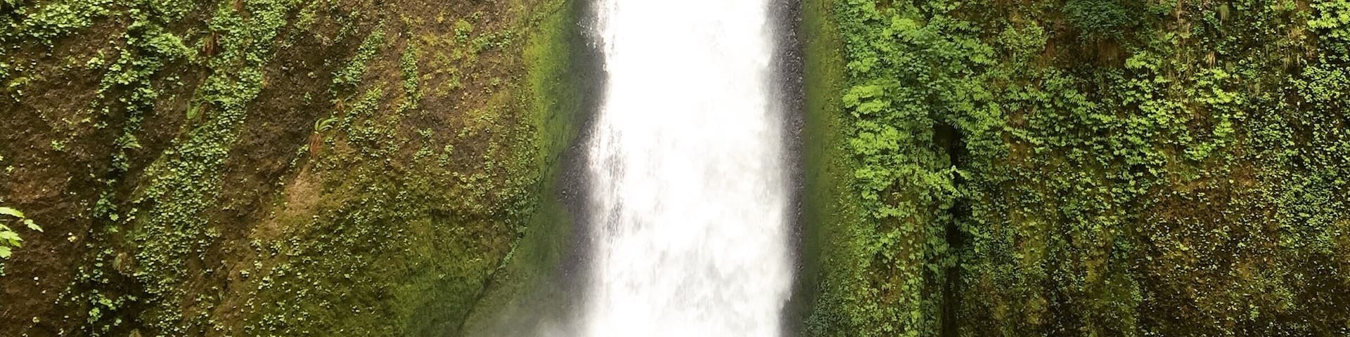 A waterfall cascading down moss-covered cliffs.
