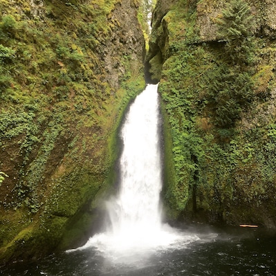 Una cascada se precipita por acantilados cubiertos de musgo.
