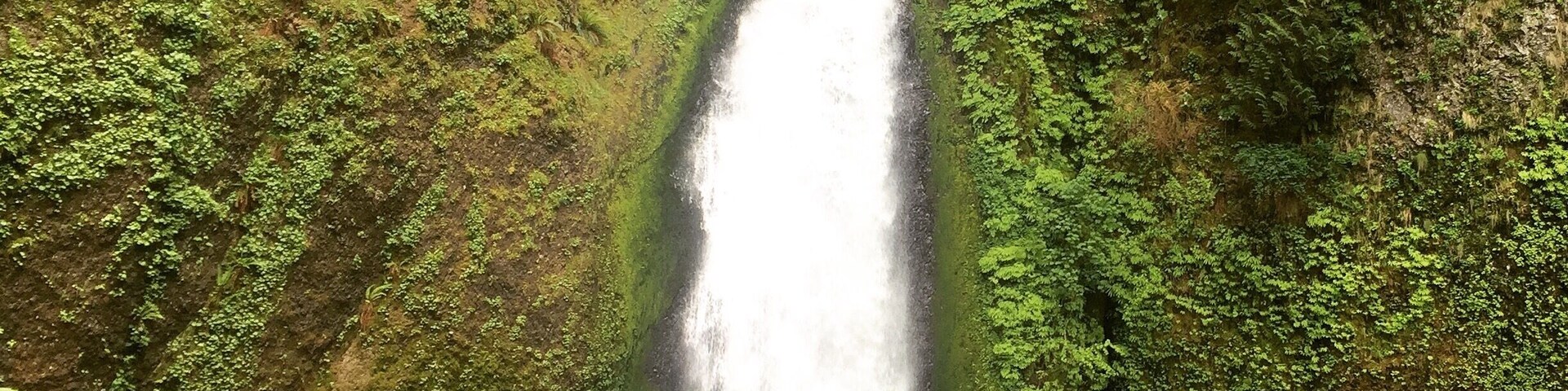 A waterfall cascading down moss-covered cliffs.