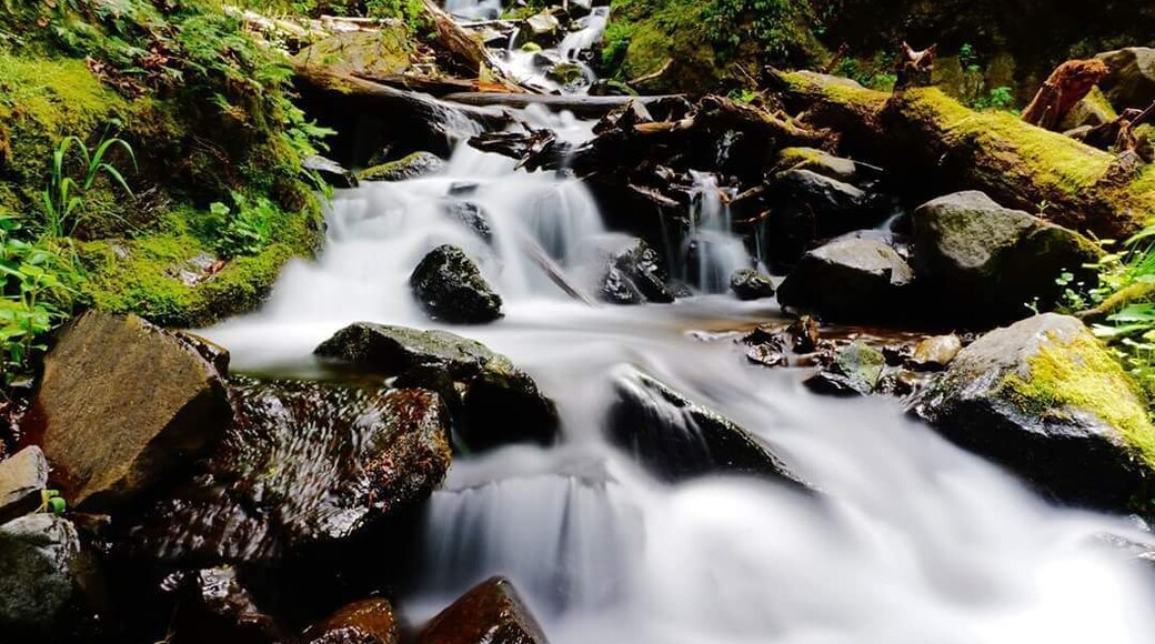 This is a fantastic waterfall in the Columbia River Gorge. This view is a short walk from the parking lot of what looks like another ordinary rest area.