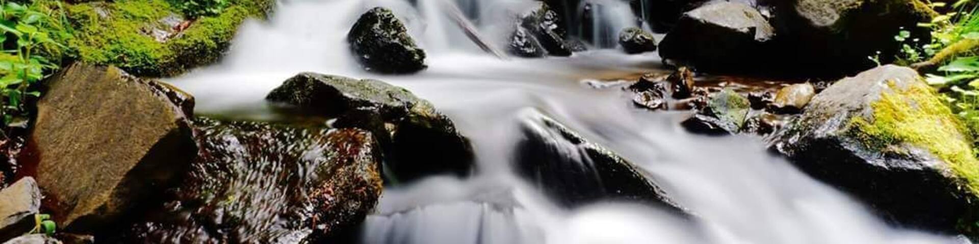 Une cascade située dans une zone boisée, avec des rochers et de la mousse.