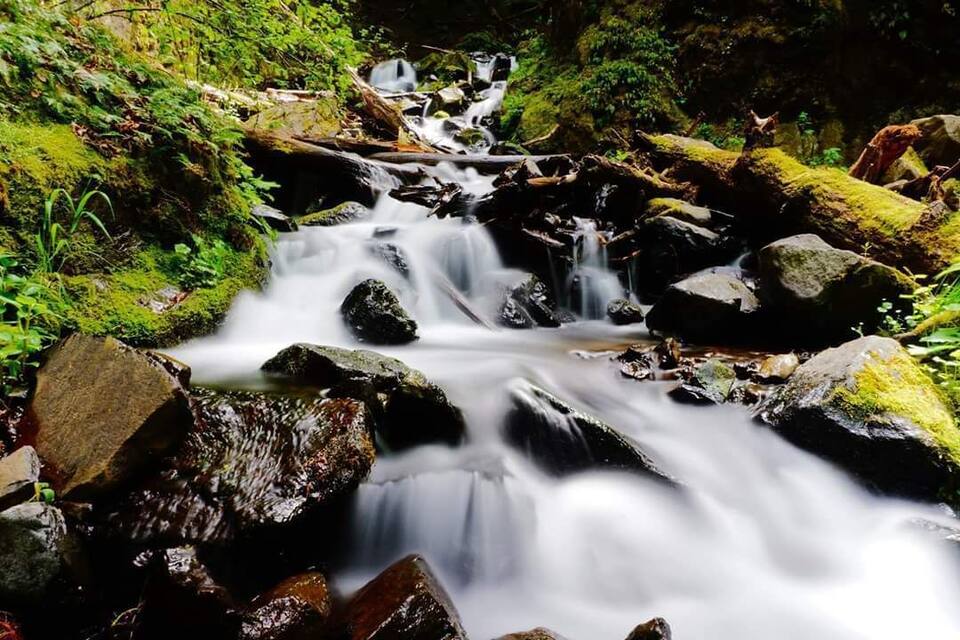 A waterfall in a forested area with rocks and moss.