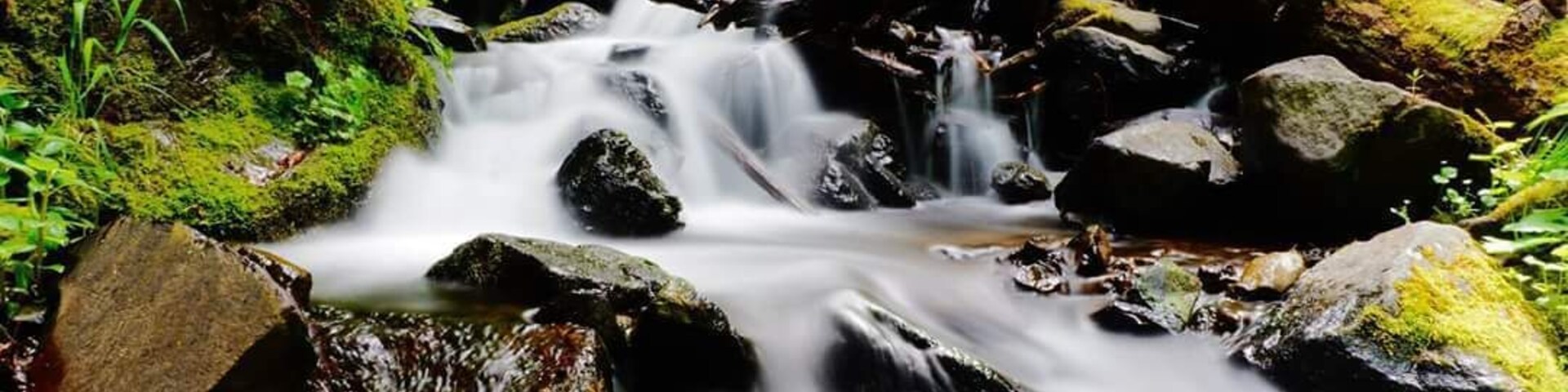 This is a fantastic waterfall in the Columbia River Gorge. This view is a short walk from the parking lot of what looks like another ordinary rest area.