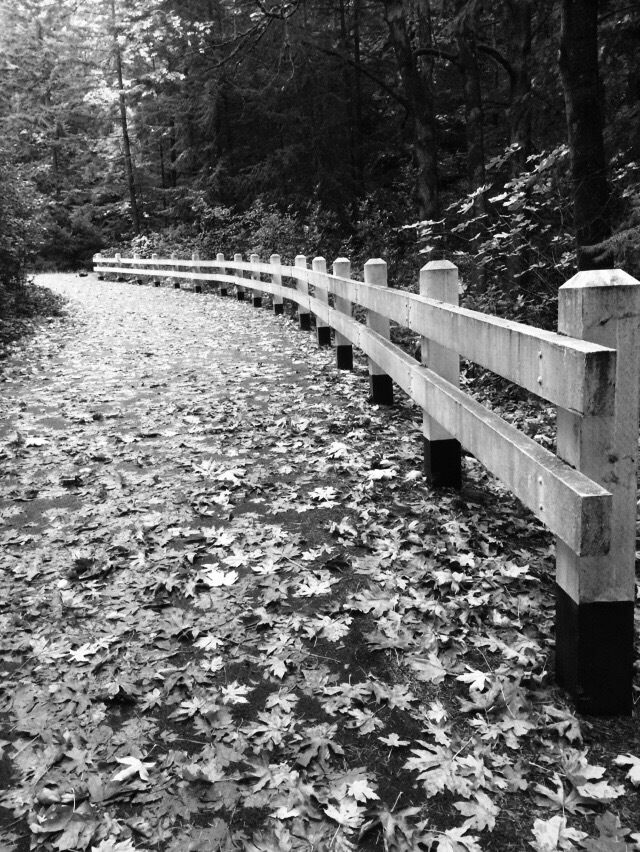 The paved trail that leads  away from the falls.