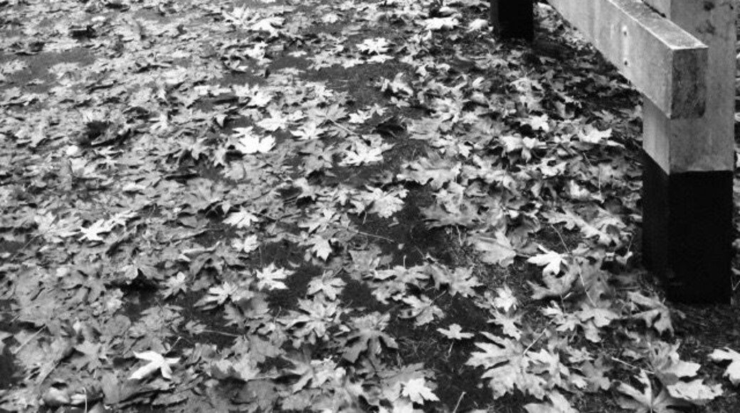 The paved trail that leads away from the falls.