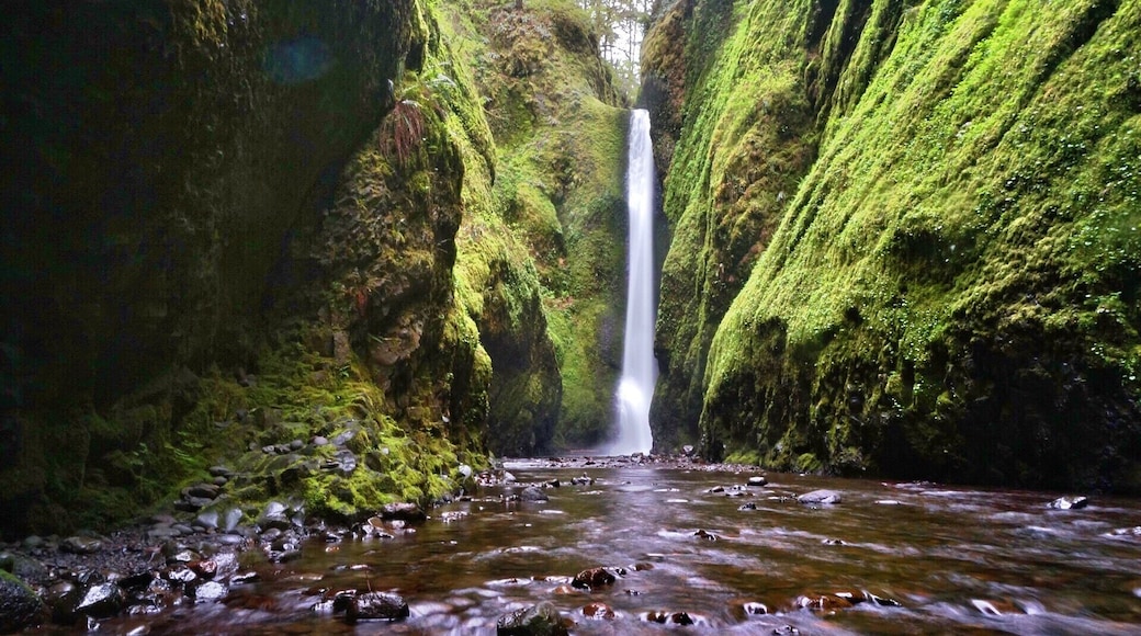 Oneonta Falls. Be prepare to swim the last segment to the falls in the winter! Dry bags are useful if you want to get your camera across without getting wet. It's worth the cold swim :) #hiking #weekendgetaway