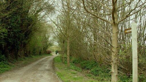 Bridleway and track to Oak Hall