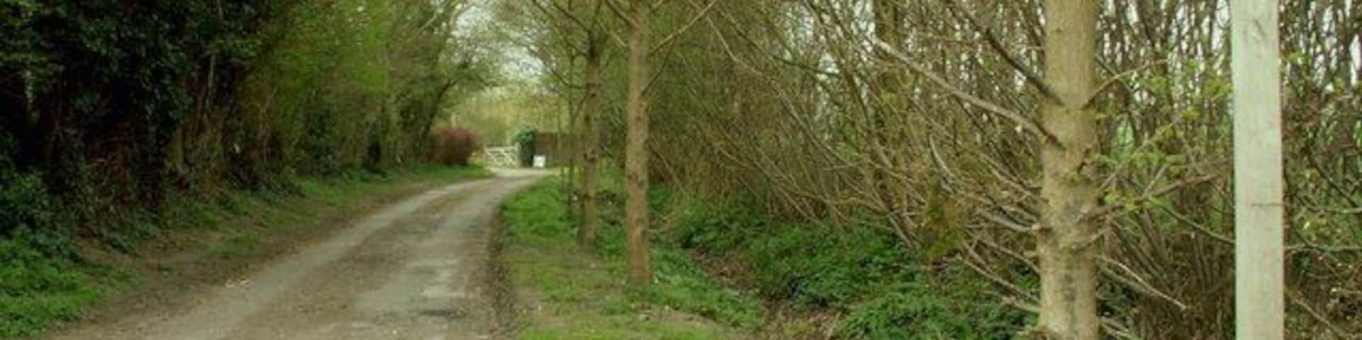 Bridleway and track to Oak Hall