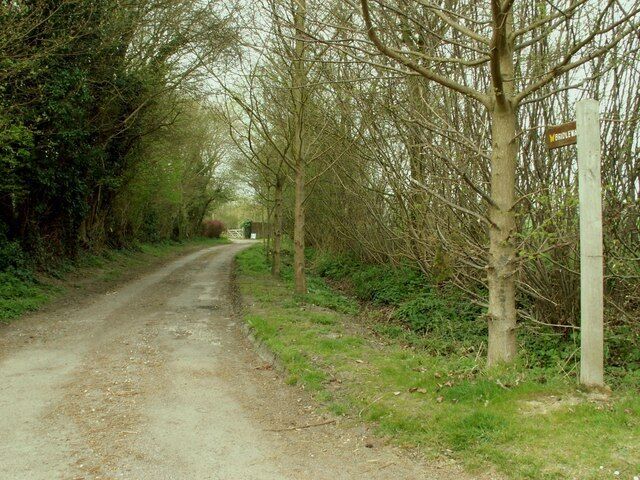 A narrow rural road flanked by trees and a wooden fence.