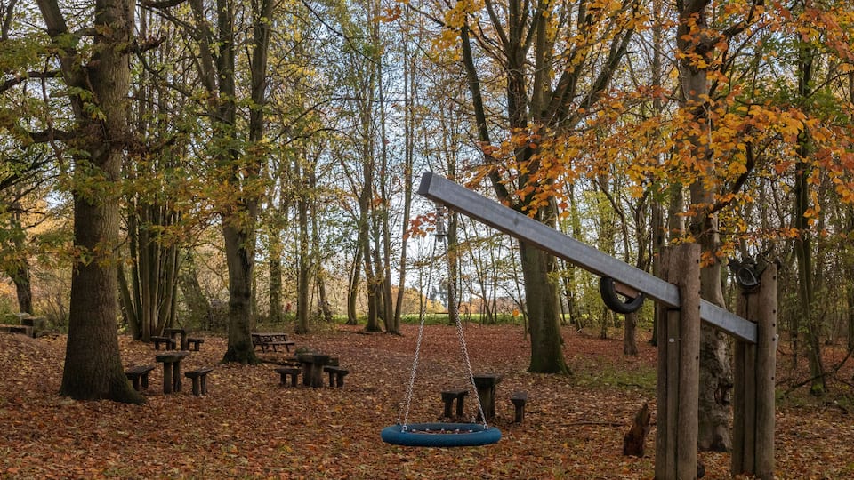 A park with a swing set, picnic tables, and autumn leaves on the ground.