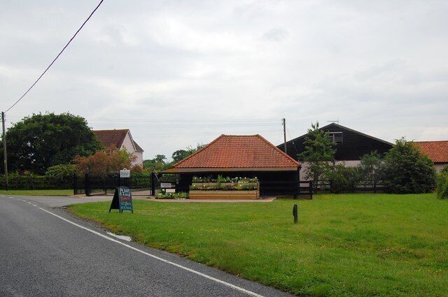 Plants for sale at Leigham's Farm An attractive display of plants for sale outside the farm. The green is called Leigham's Green and the road is Leighams Road!