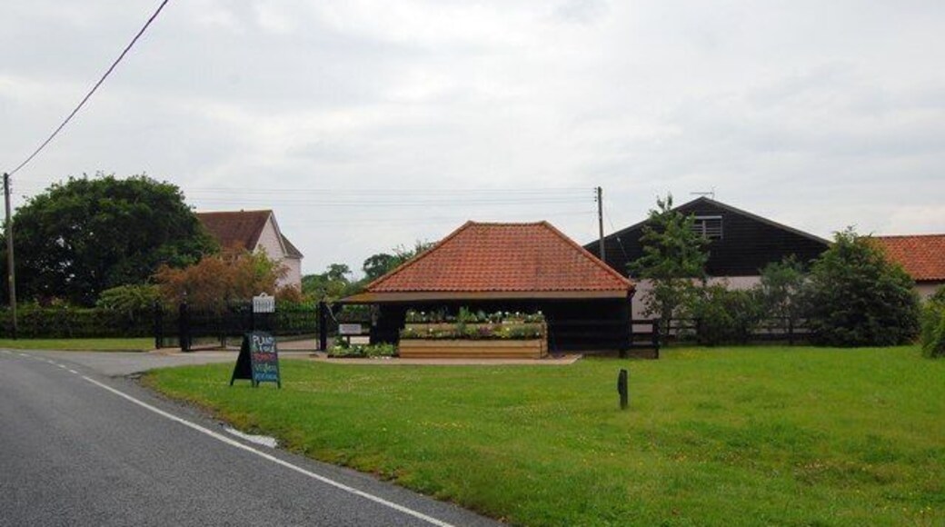 Plants for sale at Leigham's Farm An attractive display of plants for sale outside the farm. The green is called Leigham's Green and the road is Leighams Road!