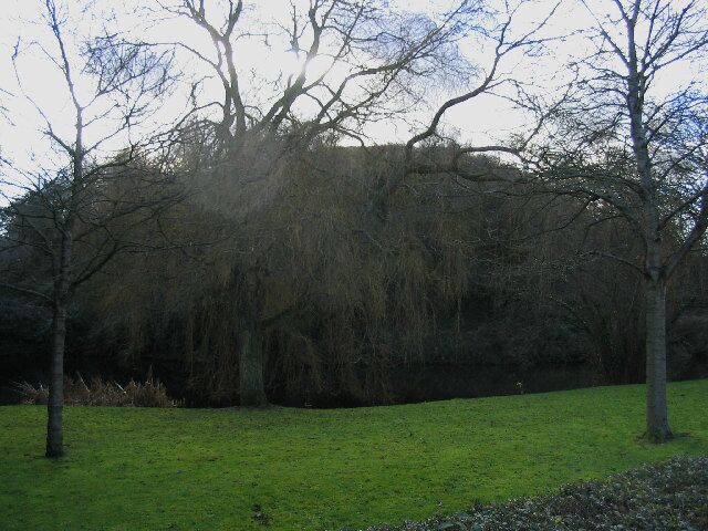 Pleshey Castle. The well preserved remains of a 12th century motte and bailey castle. Shakespeare refers to this castle in Richard III.