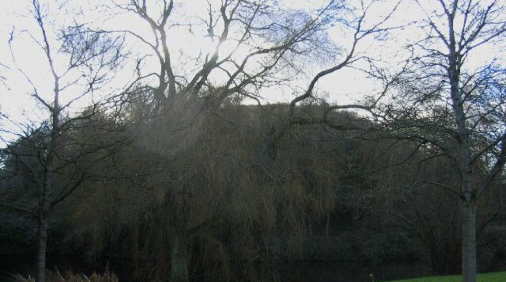 Pleshey Castle. The well preserved remains of a 12th century motte and bailey castle. Shakespeare refers to this castle in Richard III.