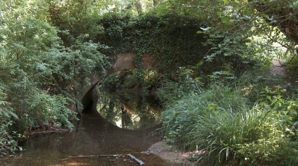 Bridge over the river Ter down the Dismals