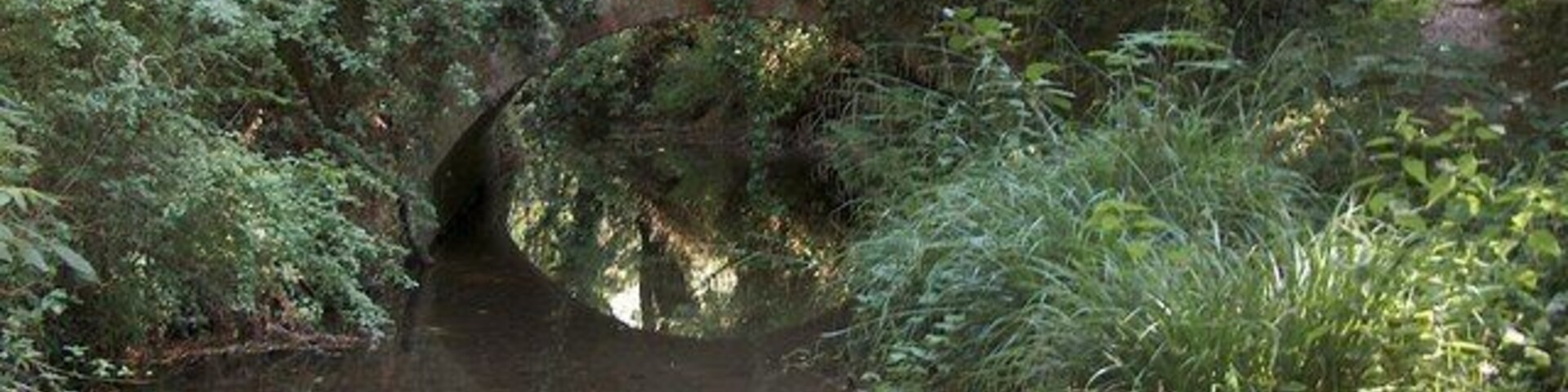 Bridge over the river Ter down the Dismals