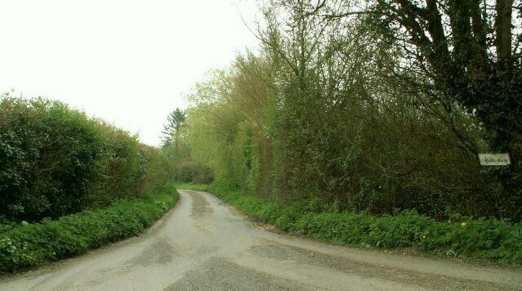 Road to Mabb's Farm only