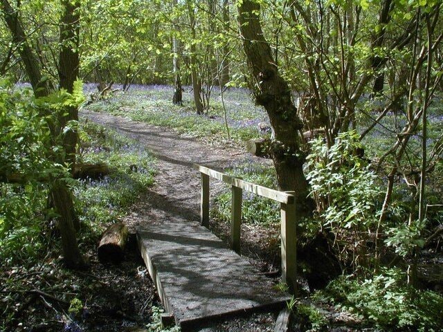 Footbridge over stream in Blakes Wood This footbridge crosses the stream which runs through Blakes Wood. Trees have been growing in Blakes Wood for 10.000 years, since the last ice age. The site has been managed by man for many centuries using the technique of coppicing - cutting trees to the ground and then allowing them to regrow in following years. Traditionally this process provided a regular supply of timber for fences and firewood, but is now recognised as also being beneficial for wildlife by encouraging woodland flowers and providing an ideal habitat for insects and birds.