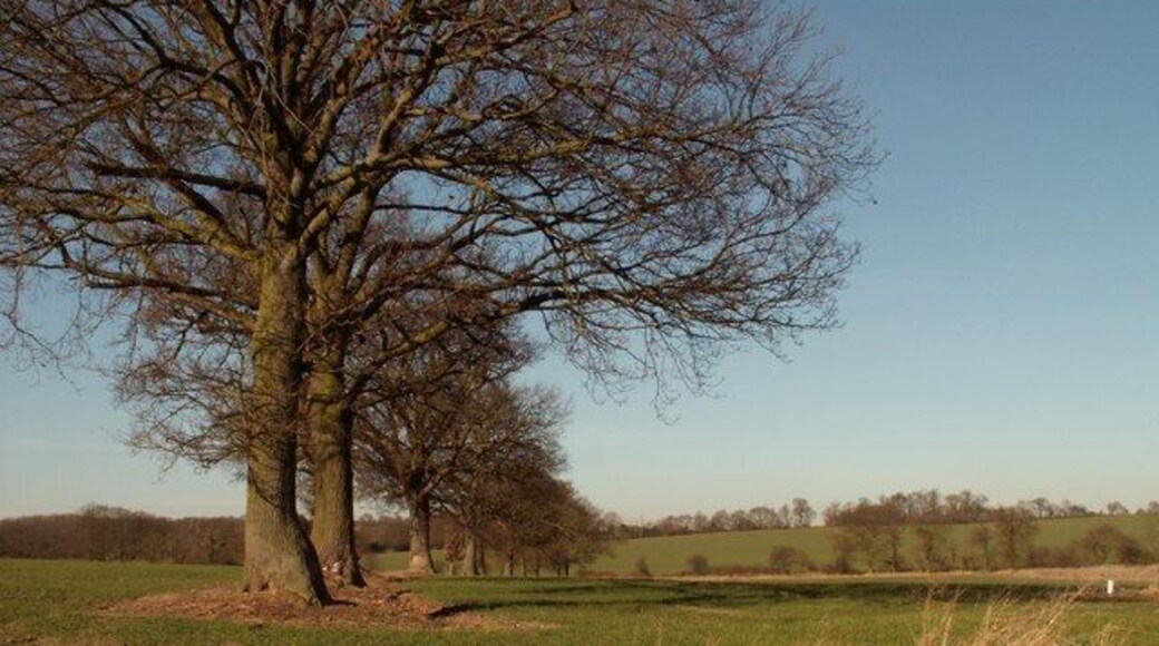 Footpath to Little Peverels A footpath follows the course of this line of trees and leads to a place called Little Peverels where the footpath splits into two directions that lead to farms.