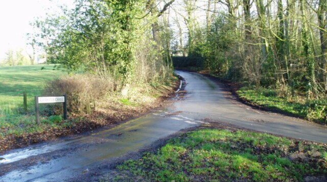 Riffhams Chase This is Riffhams Chase at its junction with Graces Lane (left) and Riffhams Lane (right).