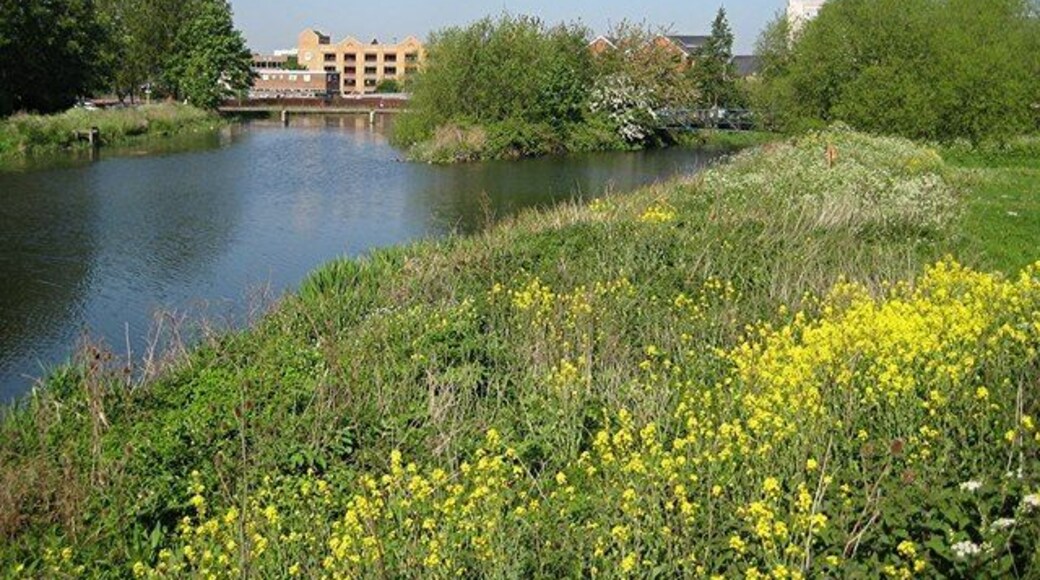 River confluence The Can meets the Chelmer