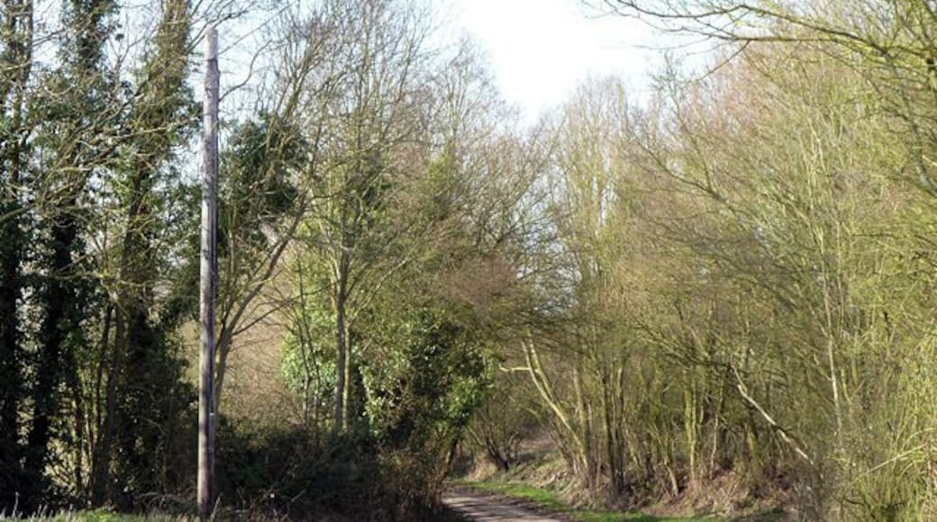 A lane with no name?