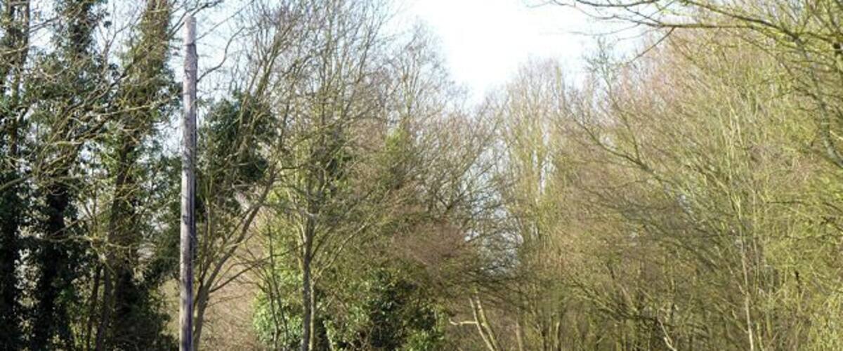 A narrow rural road flanked by trees and grass.