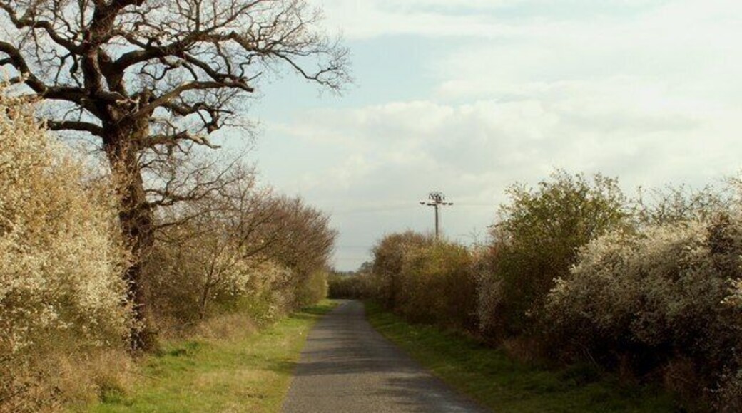 Church Lane, looking away from Stow Maries