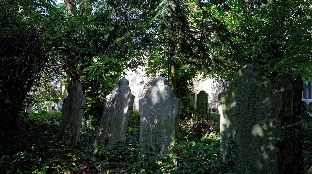 Grave stones under trees and ivy at west of churchyard of the Grade I listed 11th- to 15th-century Parish Church of St Andrew's, in Boreham village, Essex, England. Camera: Canon EOS 6D with Canon EF 24-105mm F4L IS USM lens. Software: RAW file lens-corrected, optimized and converted with DxO OpticsPro 11 Elite, and further optimized with Adobe Photoshop CS2.