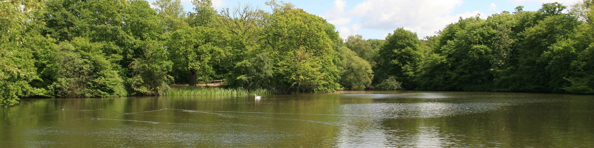 Danbury Lakes Spring 2010