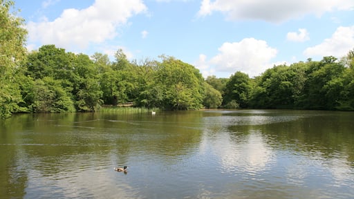 Danbury Lakes Spring 2010