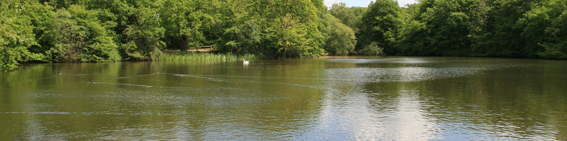 Danbury Lakes Spring 2010