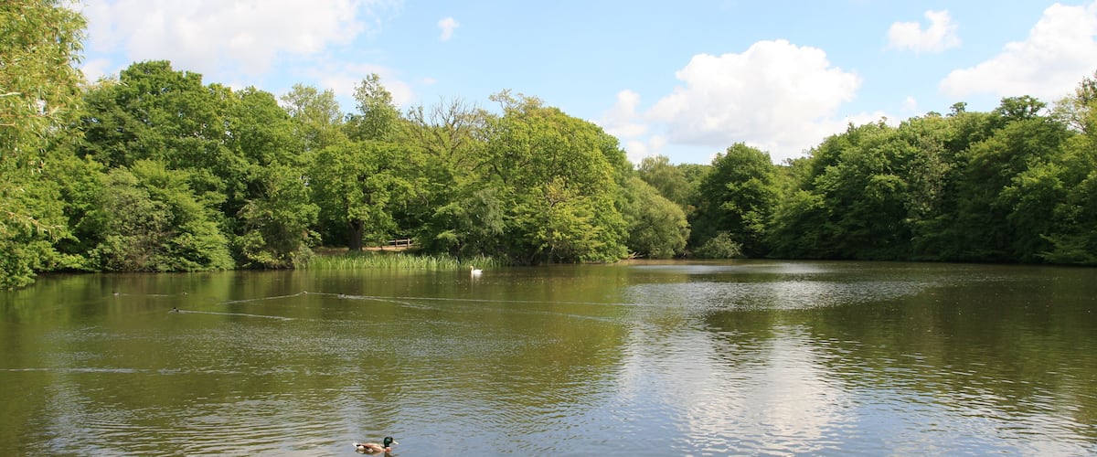 A calm lake surrounded by dense green trees under a partly cloudy sky.
