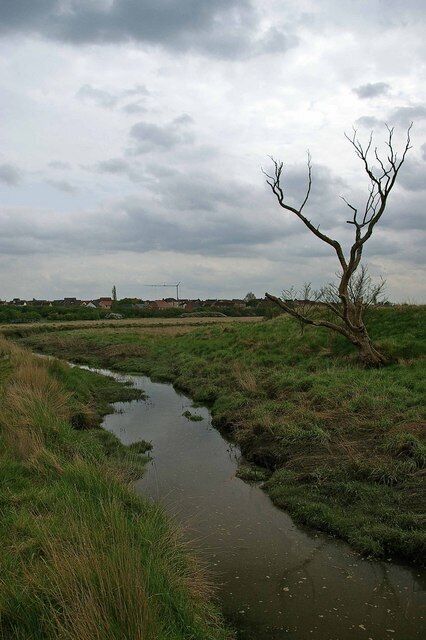 A river meandering through a marshy landscape with a leafless tree and distant wind turbines.