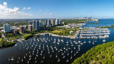 Aerial view of coconut grove marina with sailboats and cityscape, Coconut Grove, Florida, USA.