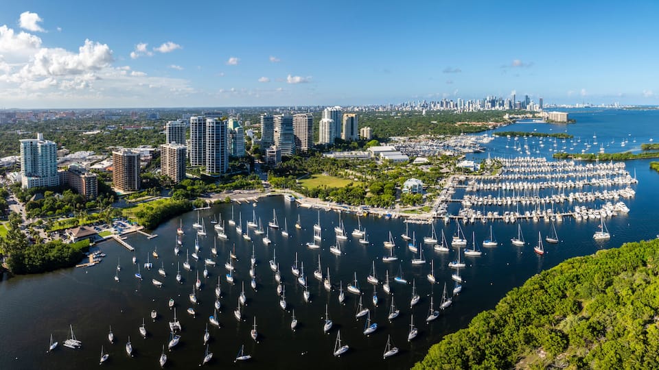 A marina with numerous sailboats, a city skyline in the background, and lush greenery surrounding the area.