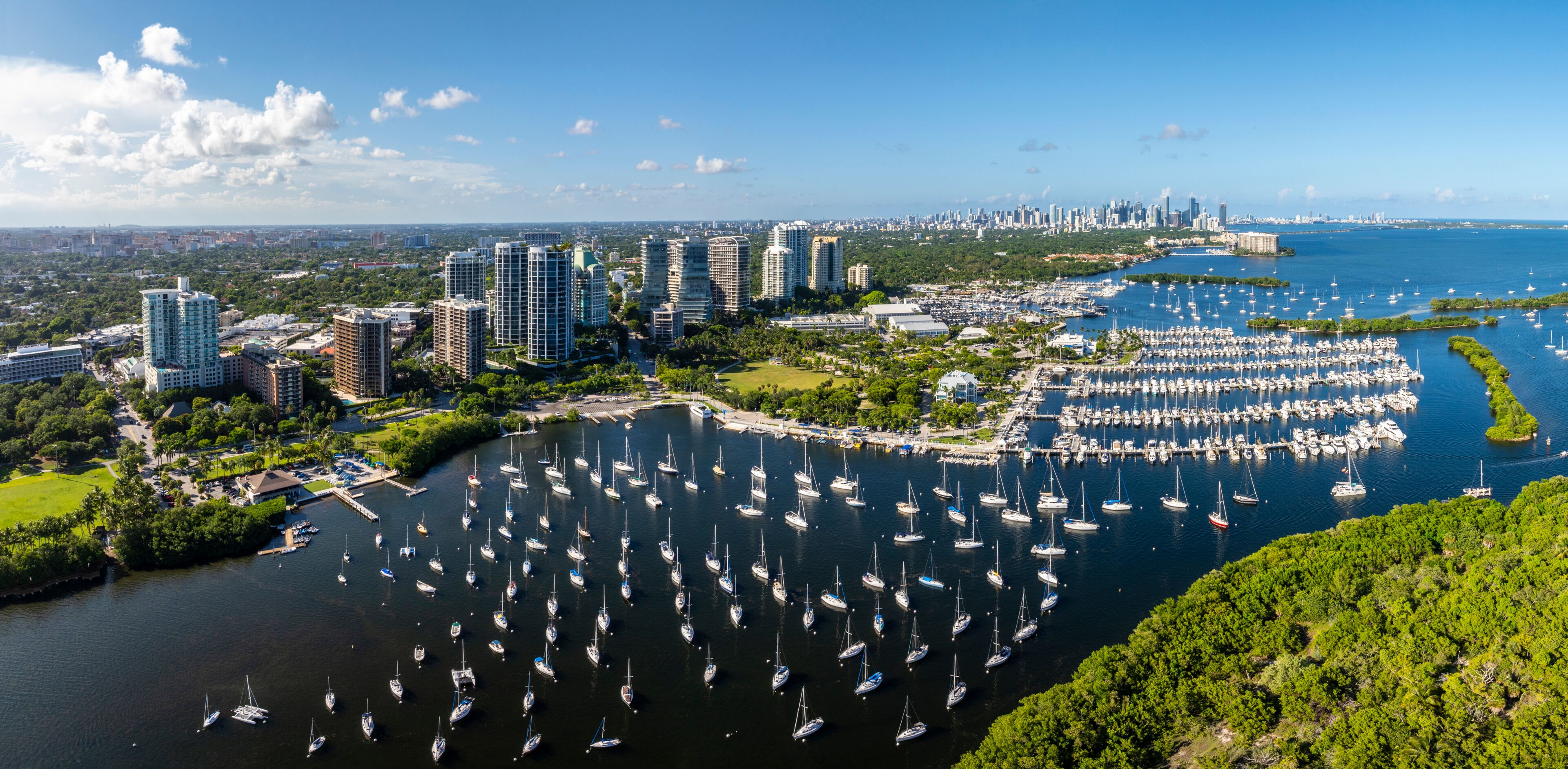 A marina with numerous sailboats, a city skyline in the background, and lush greenery surrounding the area.