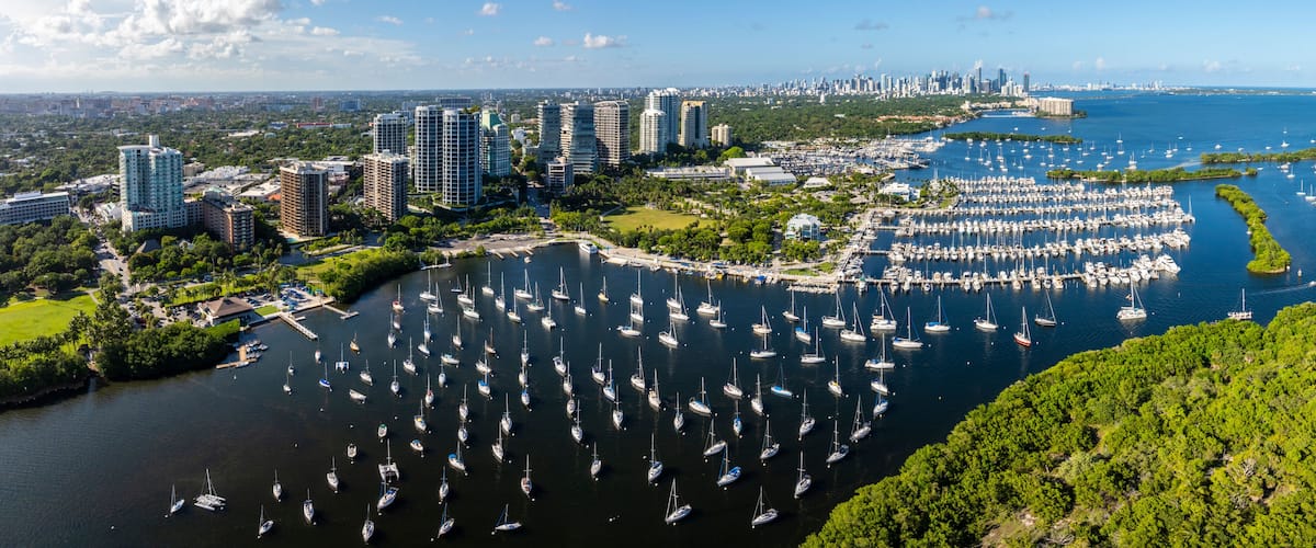 A marina with numerous sailboats, a city skyline in the background, and lush greenery surrounding the area.
