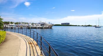 Coconut Grove which includes a marina, views and general coastal views