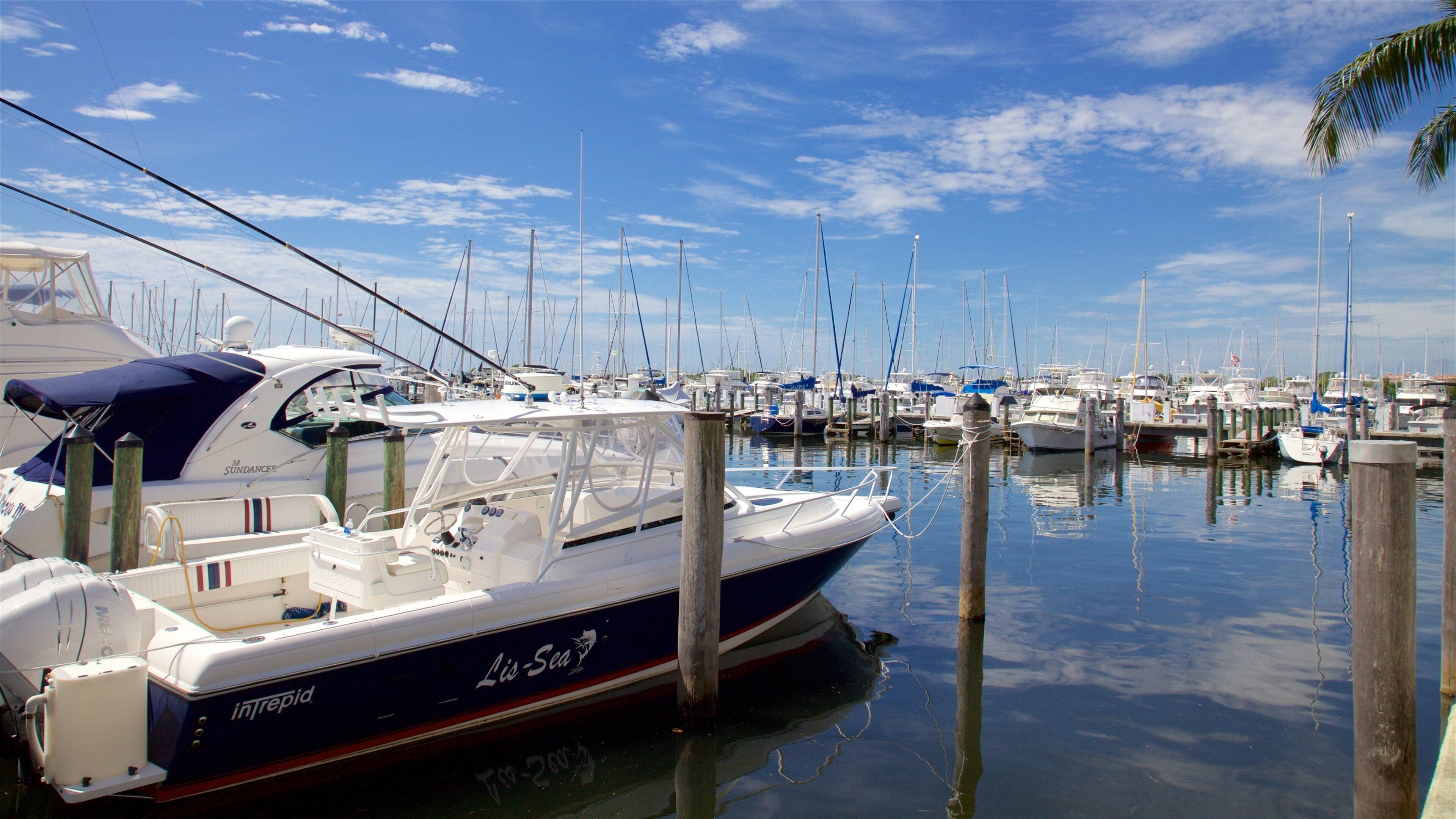 Coconut Grove featuring a marina